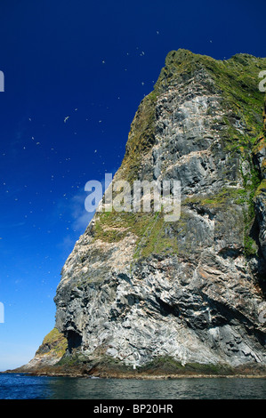 Die Klippe Rundebranden an der südwestlichen Seite der Insel Runde, Norwegens. Stockfoto