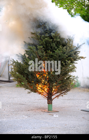 Brennenden Weihnachtsbaum Sequenz. Vom Anfang bis zum Ende. Stockfoto