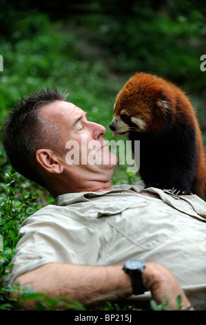 Tierwelt-Moderatorin Nigel Marven posiert mit ein roter Panda auf der Chengdu Panda Base in Sichuan, China. 25. Juli 2010 Stockfoto