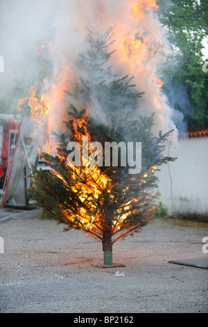 Brennenden Weihnachtsbaum Sequenz. Vom Anfang bis zum Ende. Stockfoto