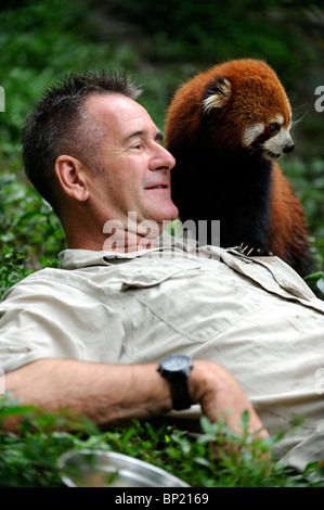 Tierwelt-Moderatorin Nigel Marven posiert mit ein roter Panda auf der Chengdu Panda Base in Sichuan, China. 25. Juli 2010 Stockfoto