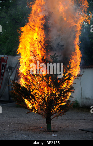 Brennenden Weihnachtsbaum Sequenz. Vom Anfang bis zum Ende. Stockfoto