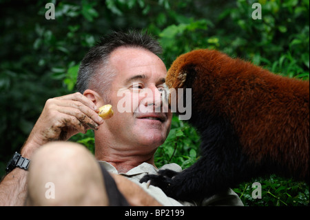 Tierwelt-Moderatorin Nigel Marven posiert mit ein roter Panda auf der Chengdu Panda Base in Sichuan, China. 25. Juli 2010 Stockfoto