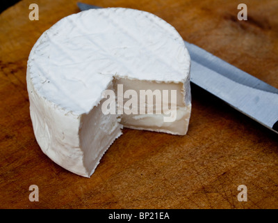 Kleine ganze Ziegenkäse aufgeschnitten, cremige Interieur zeigen Stockfoto