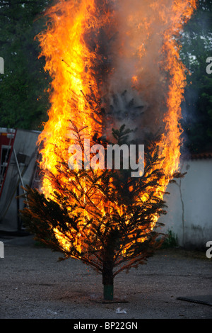 Brennenden Weihnachtsbaum Sequenz. Vom Anfang bis zum Ende. Stockfoto