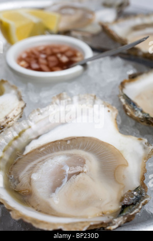 Whitstable Auster Fischerei Restaurant Whitstable in Kent, England, UK. Foto: Jeff Gilbert Stockfoto