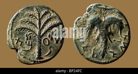 545. MÜNZEN VON DER BAR-KOHBA-KRIEG GEGEN DIE RÖMER, EINGESCHRIEBEN "SHIMON PRINCE OF ISRAEL" DATING 132-3 AD. Stockfoto