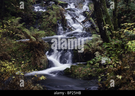 Der Herbst kommt nach Tod Creek auf Saanich Peninsula in der Nähe von Victoria, British Columbia, Kanada. Stockfoto