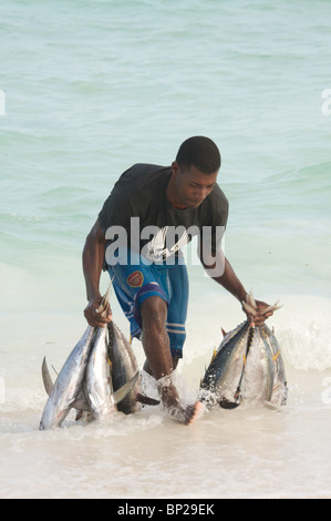 Ein Fischer, Fische aus dem Meer auf nungwi Beach, Sansibar, Tansania, Ostafrika Stockfoto