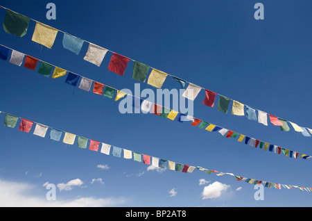 Tibetische Gebetsfahnen auf blauen Skyat tibetischen Siedlung in Choglamsar. Stockfoto