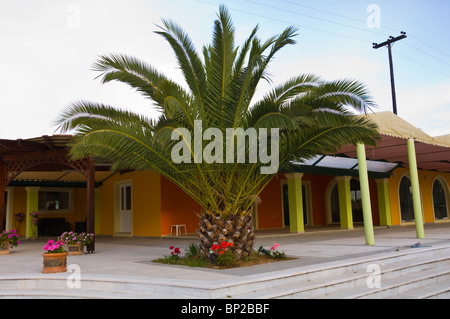 Palme vor Apartments Sidari auf der griechischen Insel Korfu Griechenland GR Stockfoto