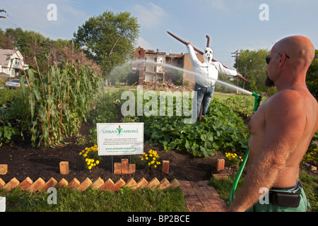 Halfway House Gefängnisinsassen bauen Gemüse für Suppenküchen Stockfoto