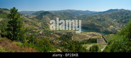 Portugal: Der Alto Douro; Die; Douro Valley, in der Nähe von Peso da Régua, der Port Wein erzeugenden Bezirk Stockfoto