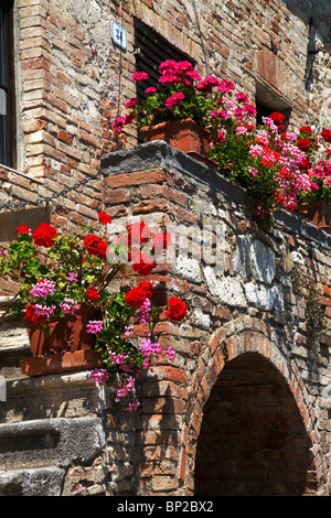 Blumen in Töpfen am Fenster Toskana Italien Stockfoto