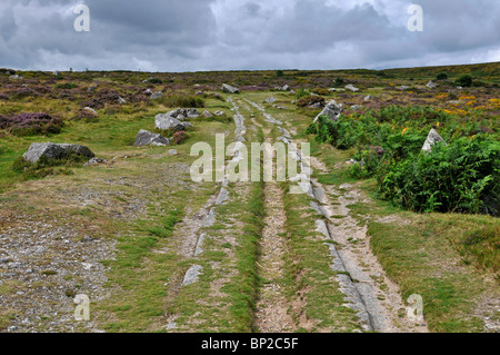 Stillgelegte Strecke, Haytor Granit-Straßenbahn, Dartmoor, England Stockfoto