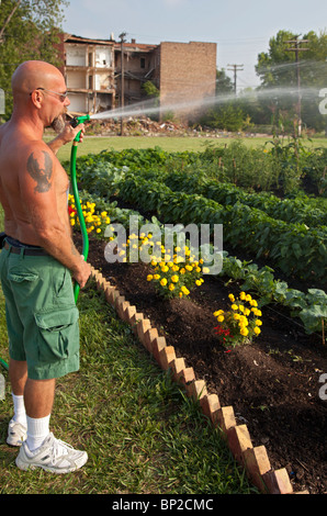 Halfway House Gefängnisinsassen bauen Gemüse für Suppenküchen Stockfoto