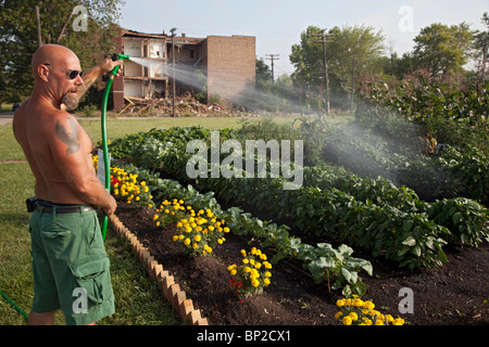 Halfway House Gefängnisinsassen bauen Gemüse für Suppenküchen Stockfoto