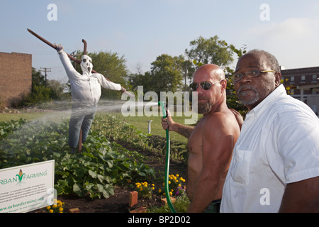 Halfway House Gefängnisinsassen bauen Gemüse für Suppenküchen Stockfoto