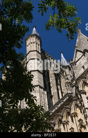 sonniger Tag am Lincoln Kathedrale gesehen durch die Zweige eines Kirschbaums Stockfoto