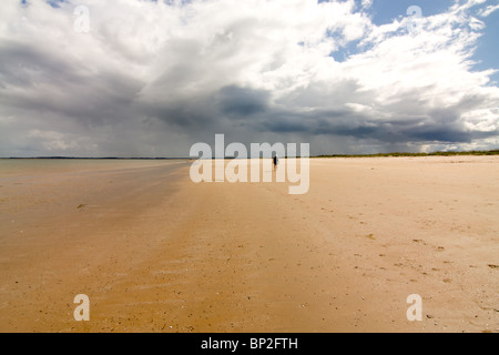 Dornoch Sand am Ufer des Dornoch Firth einen kurzen Spaziergang vom Stadtzentrum entfernt von Dornoch in den schottischen Highlands. Stockfoto