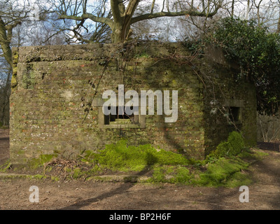 Bunker-Pill-Box des zweiten Weltkriegs Stockfoto