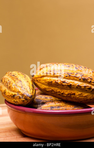 Theobroma Cacao Hülsen in einer Keramikschale Stockfoto