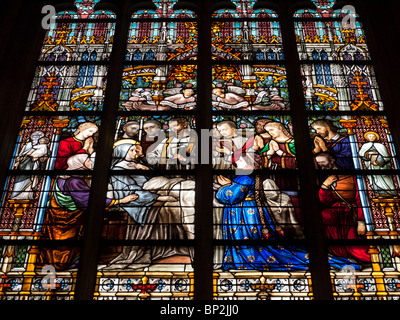 Glasfenster von berühmten historischen St.-Janskathedraal in Den Bosch oder s-Hertogenbosch, Niederlande Stockfoto