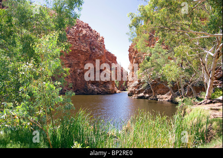 Ellery Creek Wasserloch in den Western Mac Donnell Ranges in der Nähe von Alice Springs, Australien Stockfoto