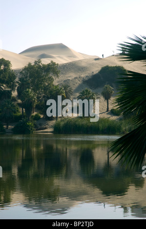 Die malerische Lagune und Palmen Bäume von Huacachina Oase, Ica, Peru. Stockfoto