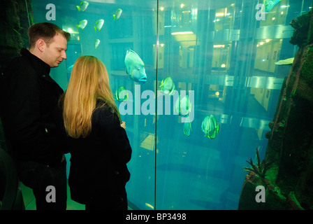 Im Aufzug des AquaDom Sealife in der Lobby des Radisson SAS Hotel, DomAquarée, Berlin Mitte, Deutschland, Europa. Stockfoto