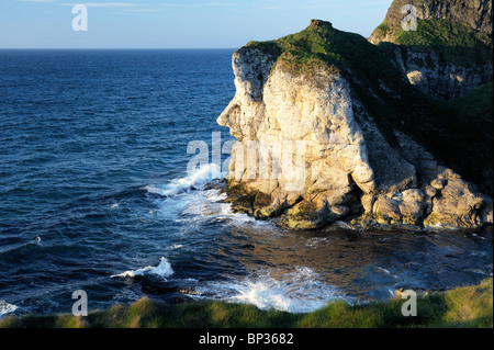 Das Riesen Kopf Kalkstein Felsen Wahrzeichen auf den weißen Felsen in der Nähe von Portrush, Nordirland. Blick nach Osten zum Giants Causeway Stockfoto