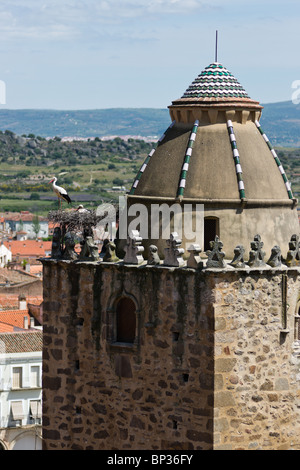 Weißstörche nisten auf einem Turm in Trujillo, Extremadura, Spanien Stockfoto