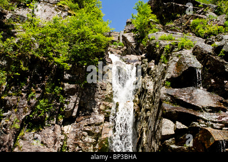 Silber Cascade Wasserfall im Carroll County, New Hampshire. Stockfoto