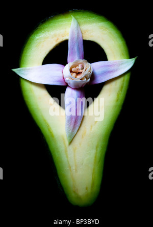 Kreuzförmige Symbolik in Fuchsia Blume und Scheibe Avocado Birne Stockfoto