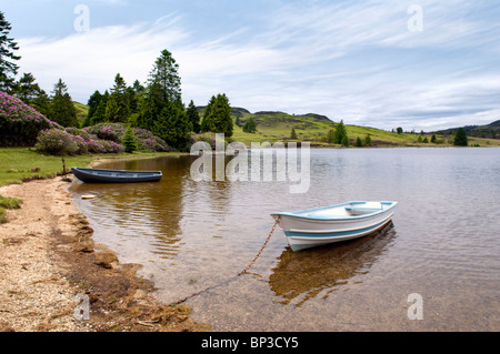 Entfernten Loch Ordie, nr Dunkeld, Schottland, aufgenommen im Sommer mit zwei alten Ruderboote in den Vordergrund und blühenden Rhododendren Stockfoto