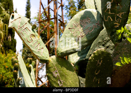 Nahaufnahme des Kaktus mit Text beschriftet hinein, Alanya, Türkei. Stockfoto