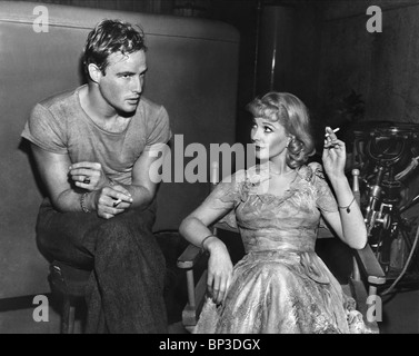 MARLON BRANDO, Vivien Leigh, A streetcar named desire, 1951 Stockfoto