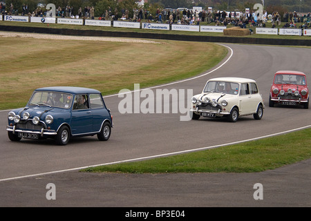 Drei Original "Italian Job" Mini Cooper S beim Goodwood Revival Stockfoto