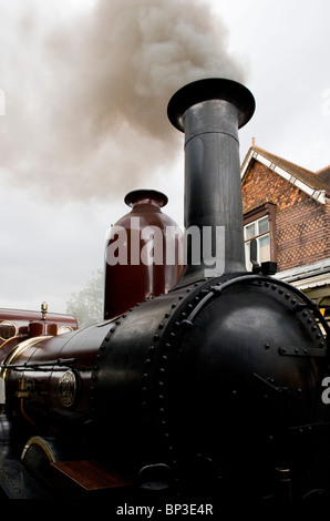 Der Bluebell Steam Railway, Sheffield Park, East Sussex Stockfoto