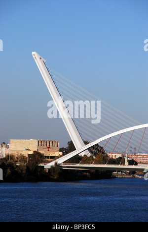 Brücke (Puente de Alamillo) über den Fluss (Rio Guadalquivir), Sevilla, Provinz Sevilla, Andalusien, Südspanien, Westeuropa. Stockfoto