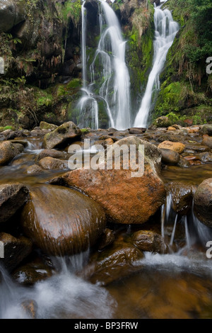 Posforth Gill-Wasserfall in der Valley of Desolation Wharfedale Yorkshire Dales UK Stockfoto