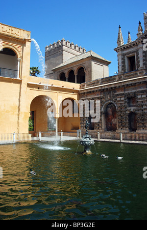 Alcazar - Schloss der Könige, Brunnen und Pool in den Gärten, Sevilla, Provinz Sevilla, Andalusien, Spanien, Westeuropa. Stockfoto