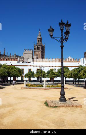 Giralda Turm von Patio de Banderas, Sevilla, Provinz Sevilla, Andalusien, Südspanien, Westeuropa gesehen. Stockfoto