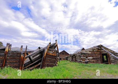 Robinson Roadhouse historische Stätte ist ein Teil der Geschichte des Klondike Gold Rush als Bergleute in den Blockhütten lebte Stockfoto