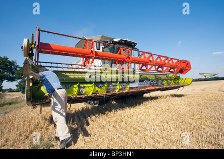 Landwirt klingen auf einem Mähdrescher Harvestor Reinigung Stockfoto