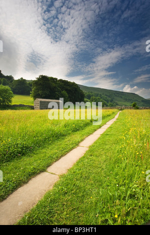 Stein markiert Wanderweg führt durch die traditionelle Heu Wiesen Swaledale, in der Nähe von Muker in North Yorkshire Dales Stockfoto