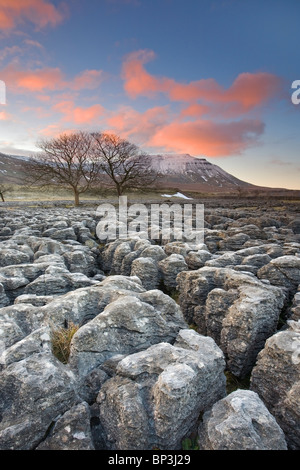 Kalkstein Pflaster am Fuße der Schnee bedeckt Ingleborough Hügel am Southerscales eine der drei Zinnen Ingleton Yorkshire Dales UK Stockfoto