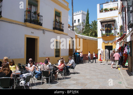 Straßencafés im Stadtteil Barrio Santa Cruz (Altstadt), Sevilla, Provinz Sevilla, Andalusien, Südspanien, Westeuropa. Stockfoto