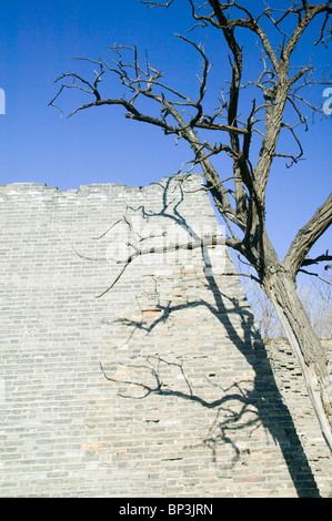 China, Peking, Chongwen District. Reste der Ming-Dynastie Stadt Ruinen Mauerpark. Stockfoto