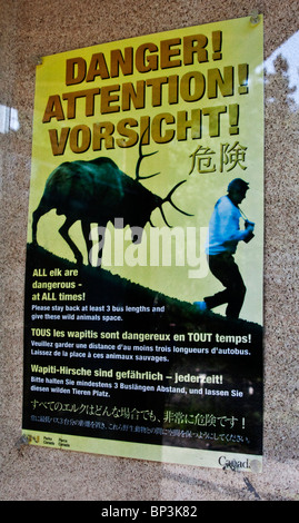 Vorsicht-Plakat mit Stier Elch laden ein Fotograf Stockfoto